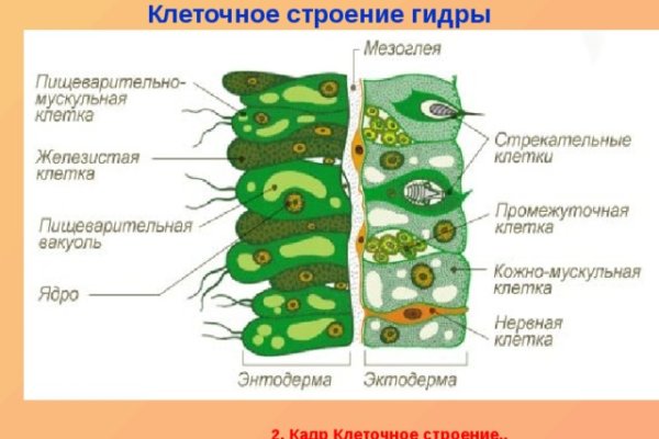 Зеркало кракен kr2web in