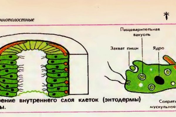 Кракен как войти