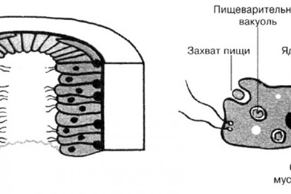 Кракен портал