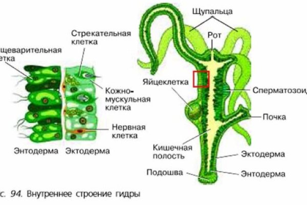 Ошибка на сервере кракен
