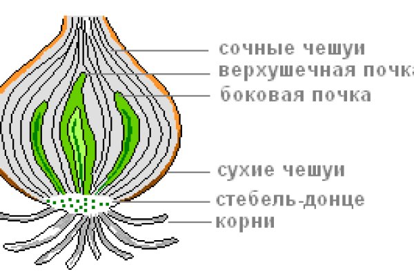 Кракен новый сайт